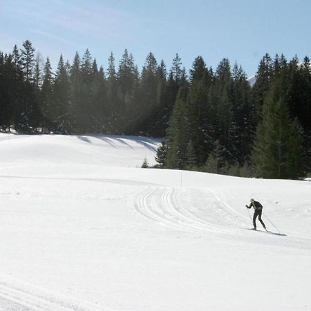 Chalet In Hohentauern Near Ski Area With Sauna Экстерьер фото