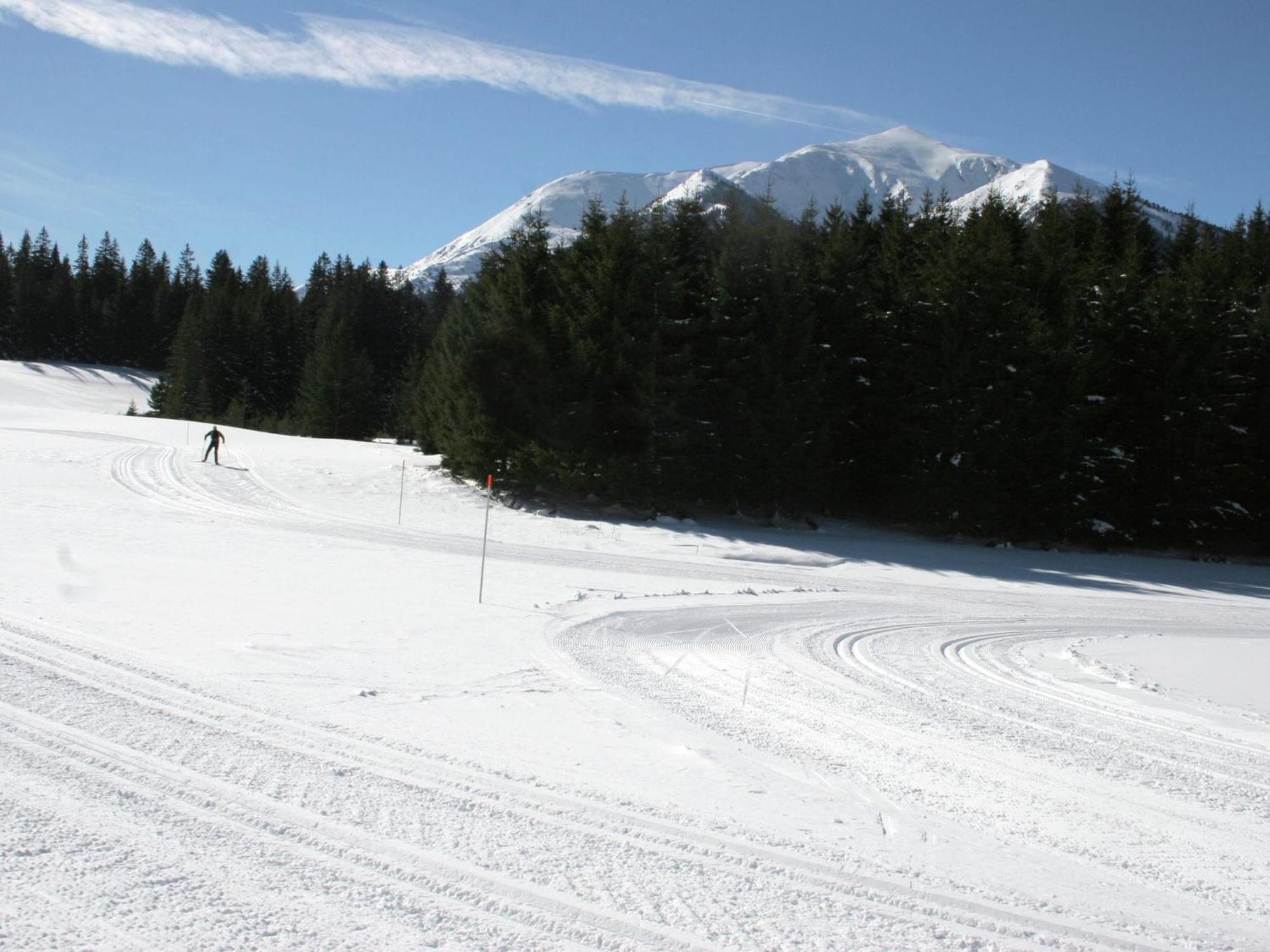 Chalet In Hohentauern Near Ski Area With Sauna Экстерьер фото